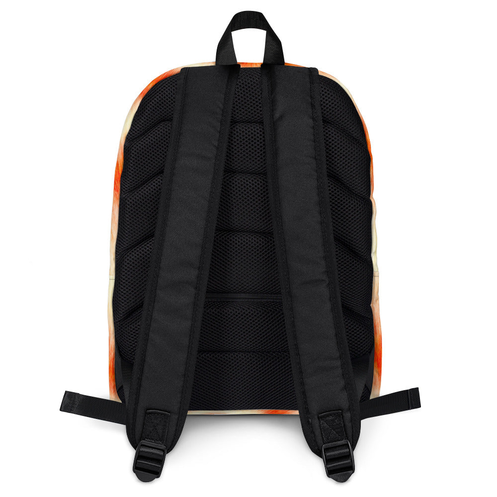 Disconnect Mochila Naranja